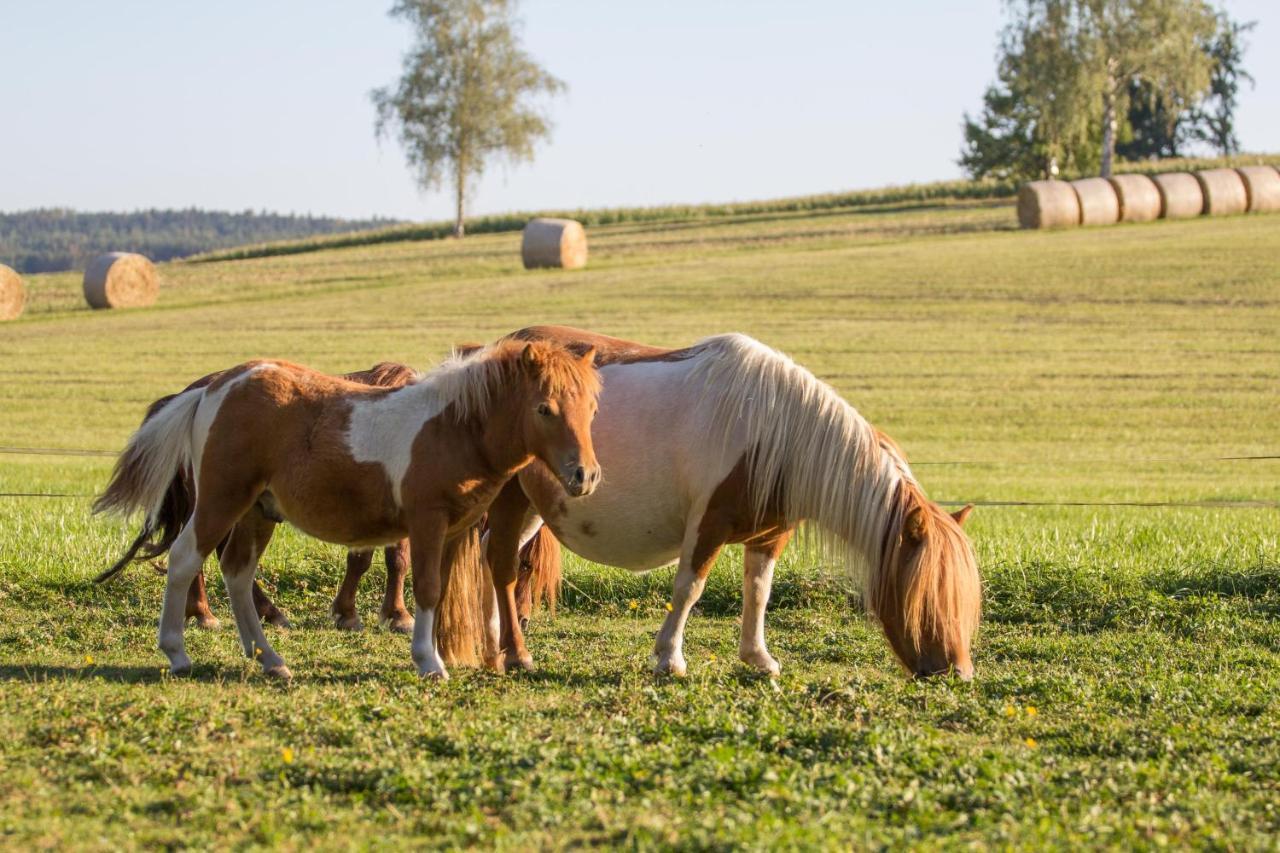 Chumecký mlýn Stryckovice Exteriér fotografie